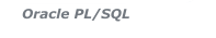 Oracle PL/SQL