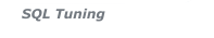 SQL Tuning