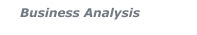 Business Analysis